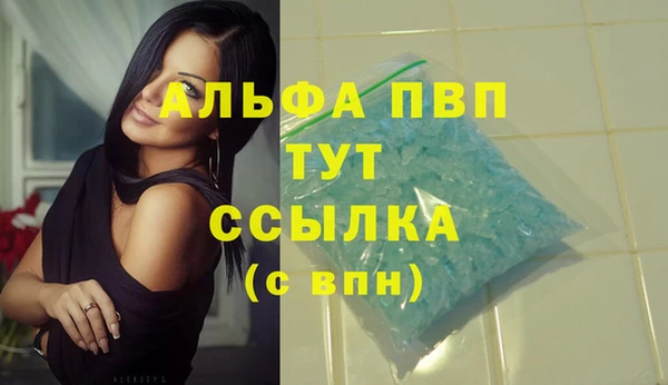 спайс Бородино