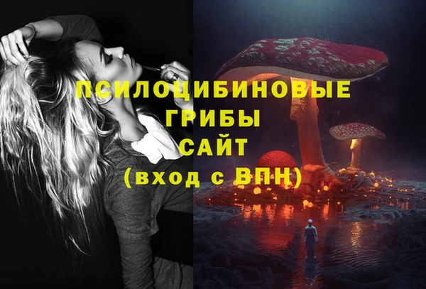 спайс Бородино