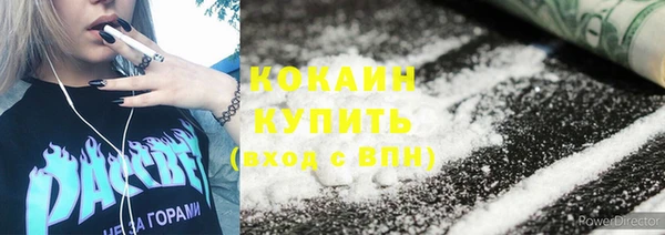спайс Бородино