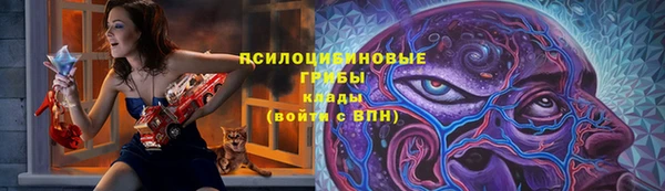 спайс Бородино