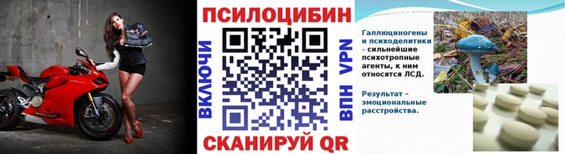 Купить  Воркута  Псилоцибиновые грибы Psilocybe 